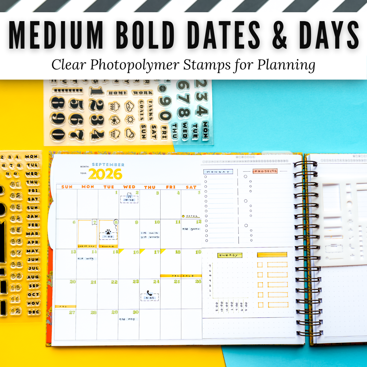 Medium Bold Dates & Days Clear Photopolymer Stamps